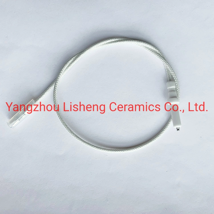 Liquefied Gas Ignition Electrode